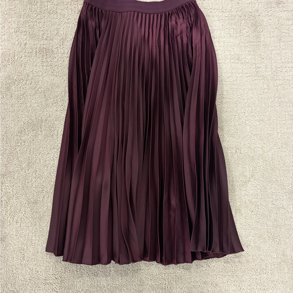H&M Deep Purple A-Line Pleated Skirt